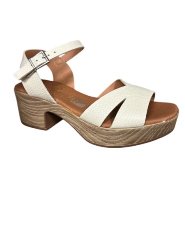 ZAPATO TACON HIELO 17549