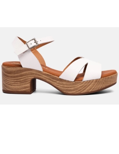 ZAPATO TACON HIELO 17549