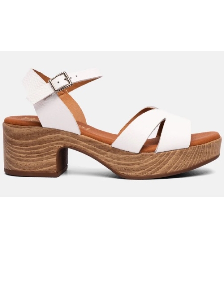 ZAPATO TACON HIELO 17549